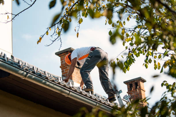 Best Tile Roofing Contractor  in Parkersburg, IA