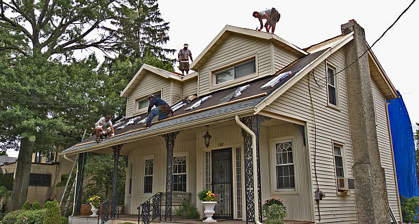 Best Roof Leak Repair  in Parkersburg, IA