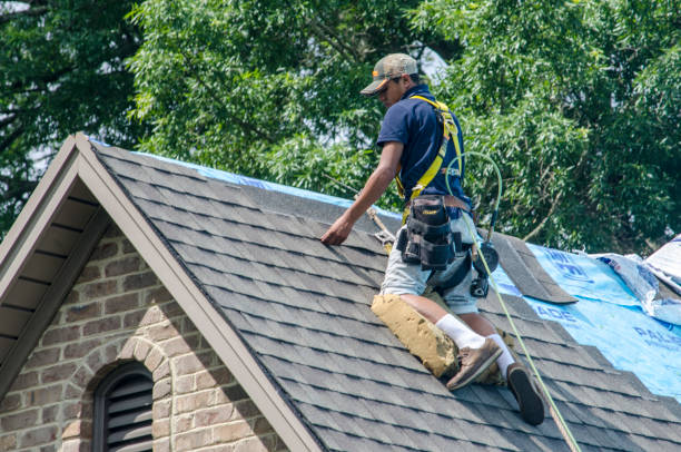 Best New Roof Installation  in Parkersburg, IA